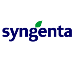 Logo sem descrição