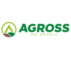 Logo sem descrição